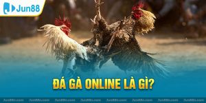 Đá gà online là gì?